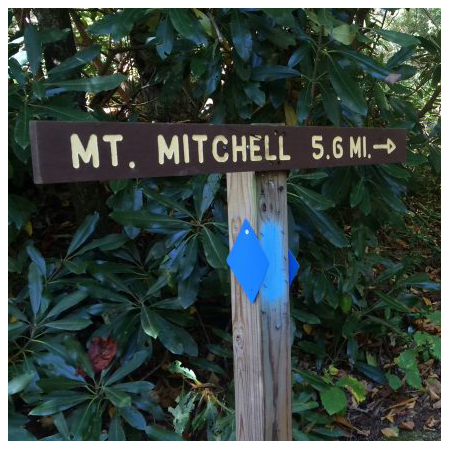 Mt Mitchell